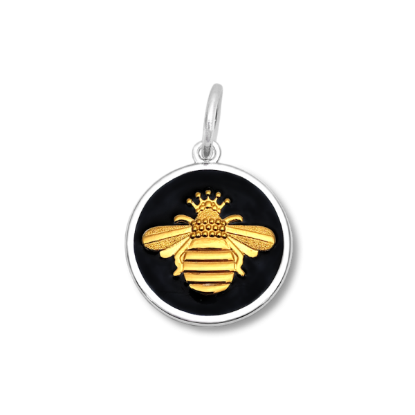 Black and gold bee