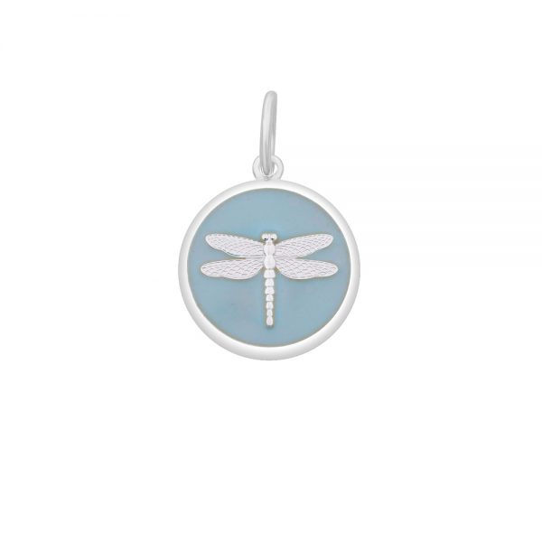 Pale blue dragonfly